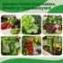45 Pack 17,000+ Vegetable Seeds Variety - Non-GMO Heirloom for Planting Indoor & Outdoor Garden - Seed Vault Kit