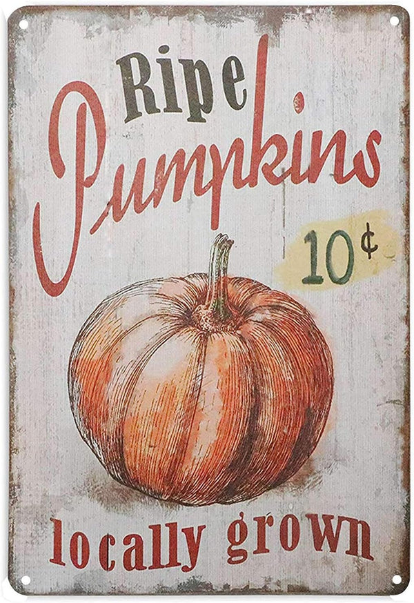 Vintage Metal Tin Signs Funny 10 Cent Ripe Pumpkins Locally Grown Retro Kitchen Aluminum Signs for Home Bar
