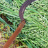 Wooden Shovel Handle Replacement, Agricultural Ladle Handle for Gardening Shovel, 11.8 inch Hatchet Grip