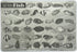Painless Learning 12 x 17 1/2 inches Saltwater Fish Placemat