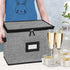 Champagne Flute Storage Box, Quilted Hard Shell Container for Wine Glasses, Stackable, Grey