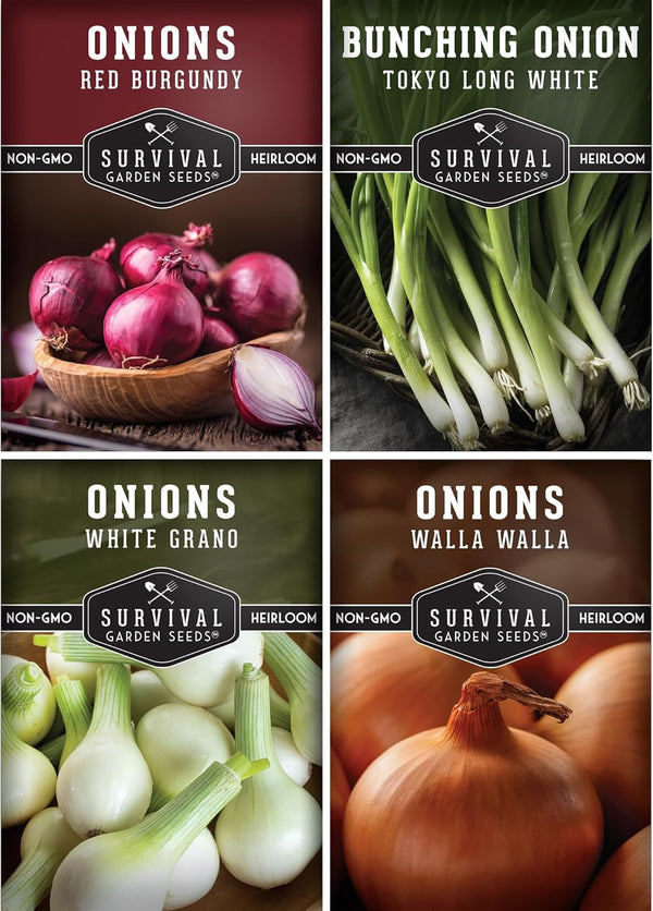 Onion Seeds 4 Variety Collection Bunching, Red Burgundy, White Grano & Walla