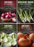 Onion Seeds 4 Variety Collection Bunching, Red Burgundy, White Grano & Walla