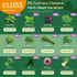 25 Pack 13,055+ Culinary Herb Seeds Variety - Non-GMO Heirloom Herbs Seeds for Planting Indoor & Outdoor: Rosemary