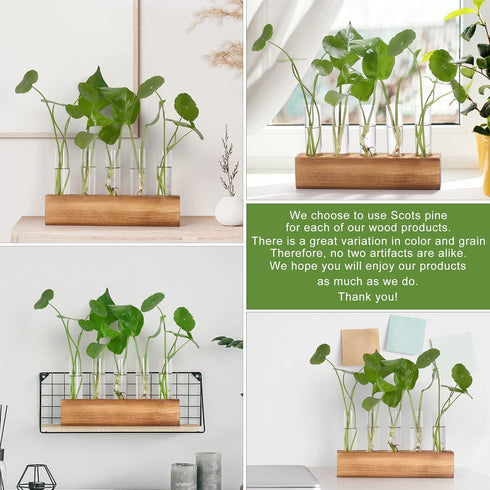 5 YIBOT Propagation Stations, Plant Terrarium with Wooden Stand, Glass Test Tubes Vases, Birthday Gardening Gifts