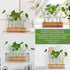 5 YIBOT Propagation Stations, Plant Terrarium with Wooden Stand, Glass Test Tubes Vases, Birthday Gardening Gifts