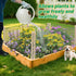 Set 15.8ft 16in 8pcs Ease to Install Garden Fence Animal Barrier - Included x Rustproof Metal Wire Net, Cedar Stakes