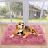 Entrance,2x3 Noahas Fluffy Blush Rugs for Bedroom Girls,Door Mat Indoor Shaggy Small Non-Slip Entryway Entry Area