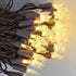 Dazlinli 150 LED Warm White Christmas Lights on Brown Wire, 50 Feet Xmas