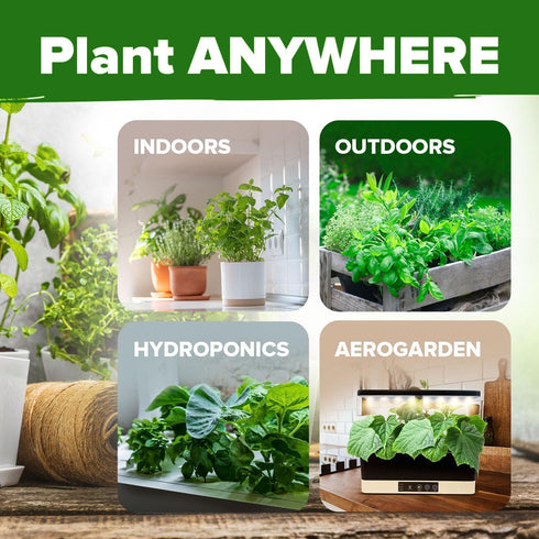 30 10,900+ Pack Set HOME GROWN Herb Seeds for Planting Non-GMO Heirloom Seeds | Extra Large Variety Herb Kit Indoor