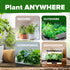 30 10,900+ Pack Set HOME GROWN Herb Seeds for Planting Non-GMO Heirloom Seeds | Extra Large Variety Herb Kit Indoor