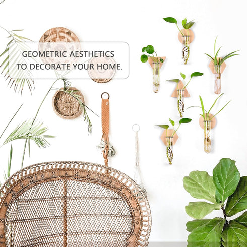 6-Pack Geometric Glass Plant Propagation Station with Wooden Stand