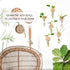 6-Pack Geometric Glass Plant Propagation Station with Wooden Stand