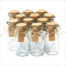 Otis Classic Set of 12 Small Glass Jars with Lids, Mini Bottles for Halloween Decorations, Party Favors