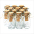 Otis Classic Set of 12 Small Glass Jars with Lids, Mini Bottles for Halloween Decorations, Party Favors