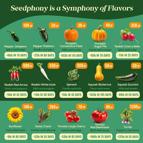 50 Pack 34,455+ Packets Seedphony Gourmet Garden Vegetable Seeds Variety - Non-GMO Heirloom Vegetables Seeds