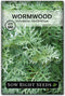 Sow Right Seeds - Wormwood Seeds for Planting - Non-GMO Heirloom Packet