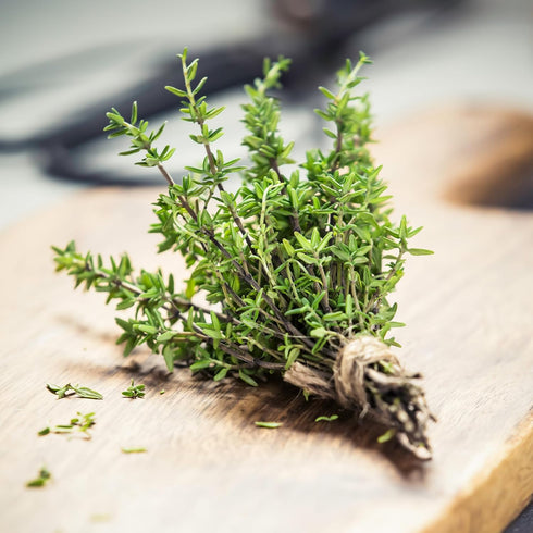 100% Packet 70mg Back to The Roots Organic Seed - Thyme 'English'