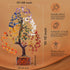 7 Chakra Tree of Life, Crystal Tree for Positive Energy, Healing Crystals and Stones, 10-12"