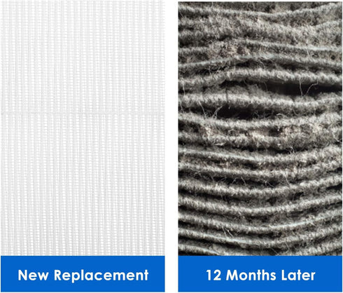 Cabiclean 2 Set Replacement Filter - Compatible for HoMedics AF-20, AF-25, AP-20, AP-25 Models