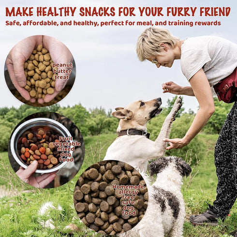 296 HKNMTT Mini Semi Sphere Shape Molds Silicone, Cavities Round Baking Moulds for Dog Treats Snack Candy Chocolate