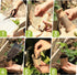 Wooden DIY Newspaper Plant Pot Maker Set, Plant Seed Dibber for Grow Your Own Seedlings Gardening Tool