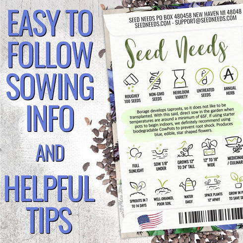 (1 Pack) Seed Needs Borage Seeds for Planting Blue Star Flowers - Heirloom Non-GMO & Untreated - Plant a Home Grown