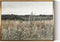 InSimSea Golden Framed Vintage Canvas Wall Art - 12x16in Wildflower Field Rustic Floral Landscape Print