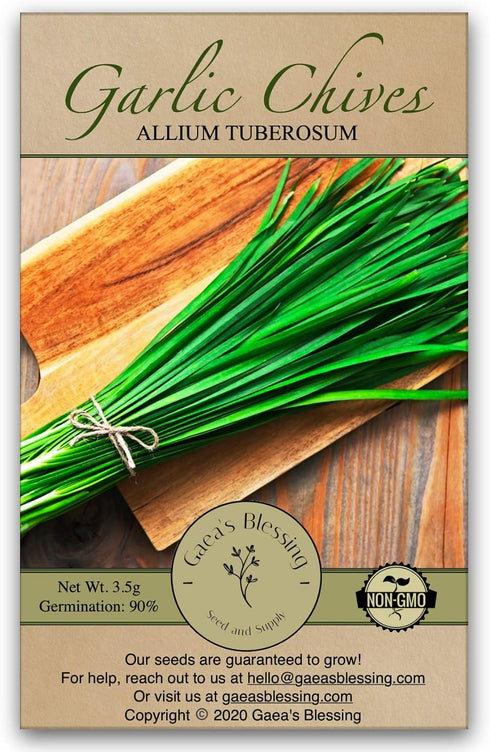 Gaea's Blessing Seeds - Garlic Chives Seeds (1.5g) Non-GMO High Yield Open-Pollinated
