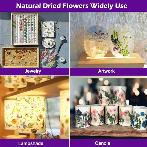 Flowers for Resin Model, Real Pressed Flowers Dry Leaves Bulk Natural Herbs Kit for Scrapbooking DIY Art Crafts, Epoxy