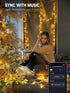 66FT 200 Dimmable Brizled Smart Christmas Lights, LED Warm White & Cool White Color Changing String Lights APP Control