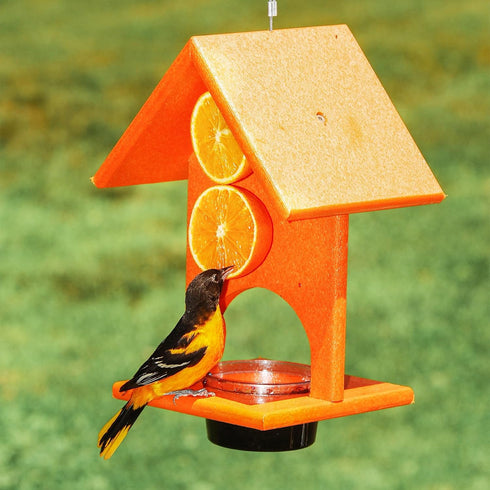 (Set 1) Songbird Essentials SERUBFJF Fruit and Jelly Oriole Feeder