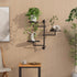 3-Tier Rotating Wall Plant Shelves Plant Shelf for Window Metal Wall Plant Holder for Multiple Plants with Hanging