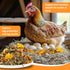 30oz Packed MAQIHAN Chicken Nesting Herbs - Dried Herb for Layer Feed,Coop and Run Insulation,Roosting Bars, Box