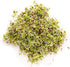 1 Lb, Organic Soybean Seeds Non-GMO Perfect for Sprouting, Tofu, Food Storage, and Crop Ideal for Vegetable Gardens