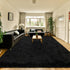 HOMORE Rugs for Living Room 6x9 Black Fluffy Area Rug Modern Shag