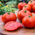 3 6 Pack Bonnie Plants Better Boy Tomato Plug, Live Plant, for Burgers, Salsa, and Sauces, Full Sun, Cubic in.