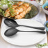 LIANYU 6-Piece Large Black Serving Spoons, Slotted Serving Utensils for Party Buffet, 9.8 Inch, Dishwasher Safe