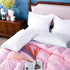 NTBAY Egyptian Cotton Queen Pillowcases - Set of 2, 500 Thread Count, Soft and Breathable, 20x30 Pillow Covers
