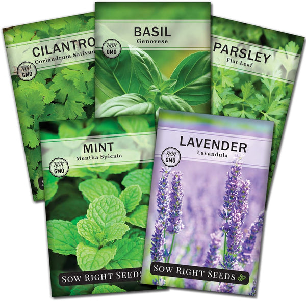 Sow Right Seeds - Most Popular Herb Seed Collection for Planting -