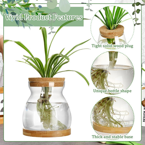 6 3 Beeveer Pcs Plants Propagation Station Separated Desktop Plant Terrarium with Wood Lid and Stand, Sizes Glass