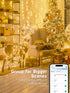 66FT 200 Dimmable Brizled Smart Christmas Lights, LED Warm White & Cool White Color Changing String Lights APP Control