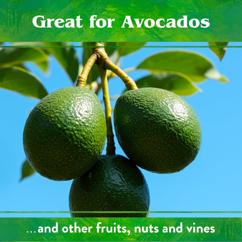 6-3-3, 1 lb Down To Earth All Natural Fertilizers Organic Citrus Mix - Plant Food for Lemons, Limes, Oranges