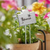 304 2 25 Pack 3.74'' 1.39'' 10.75 Inch Stainless Steel Plant Labels for Garden Outdoor | Metal Plant Markers Waterproof