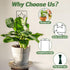 14.6in Set 4p Trellis for Potted Plants, Plant Trellis Indoor, Small Houseplant Trellis for Climbing Plants with Ties