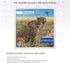 23.85x23.85 INCH 60.6x60.6 CM 1000 1.25 Inch (Puzzle5179-23.85x23.85) ArtToFrames / White Frame for piece Puzzles.This