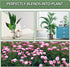 12 Pack 16 Inch 15 Joyhalo Plant Support Stakes, Plant Stakes for Outdoor Plants, Peony Cages and Supports, Peony Cage