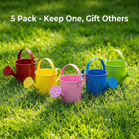 5 Pack 6oz Small Metal Watering Can for Kids, Mini Plant Water Pot for Indoor Outdoor Gardening, Cute Toddler Beach