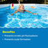 Swimming Swimming 100% 5 In The Swim Alkalinity Increaser for Pools - Raises Alkalinity and Balances pH Levels in Your