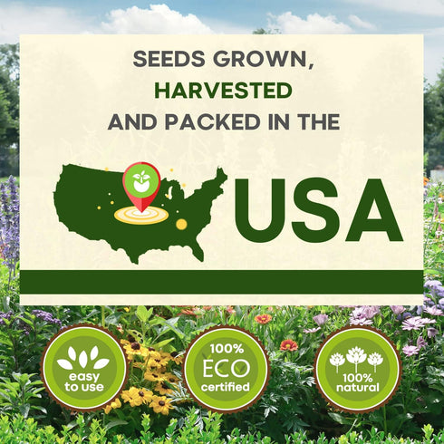 13,500+ 25 Vegetable Fruit Seeds - Grow Your Own Garden Feast - Veggie Fruit Heirloom Varieties- Mega Seed Starter Kit